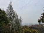 公园风景