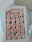 精品枇杷