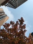 城市风景