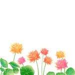 插画卡通荷花元素