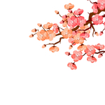 卡通插画腊梅花元素