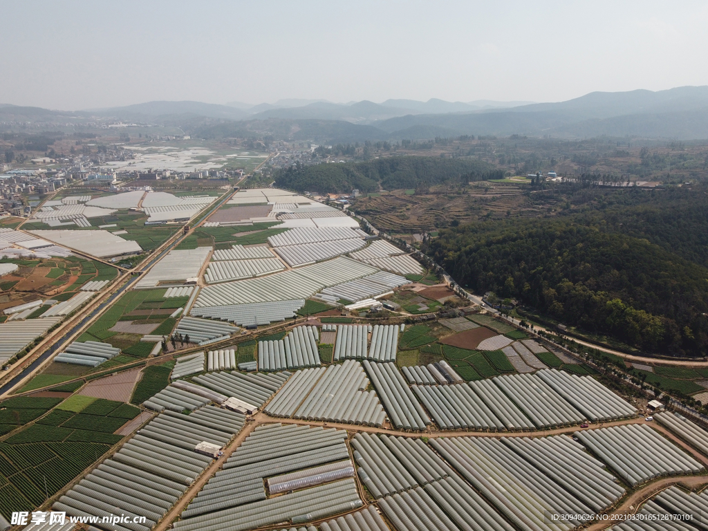 田野