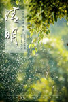 清明海报