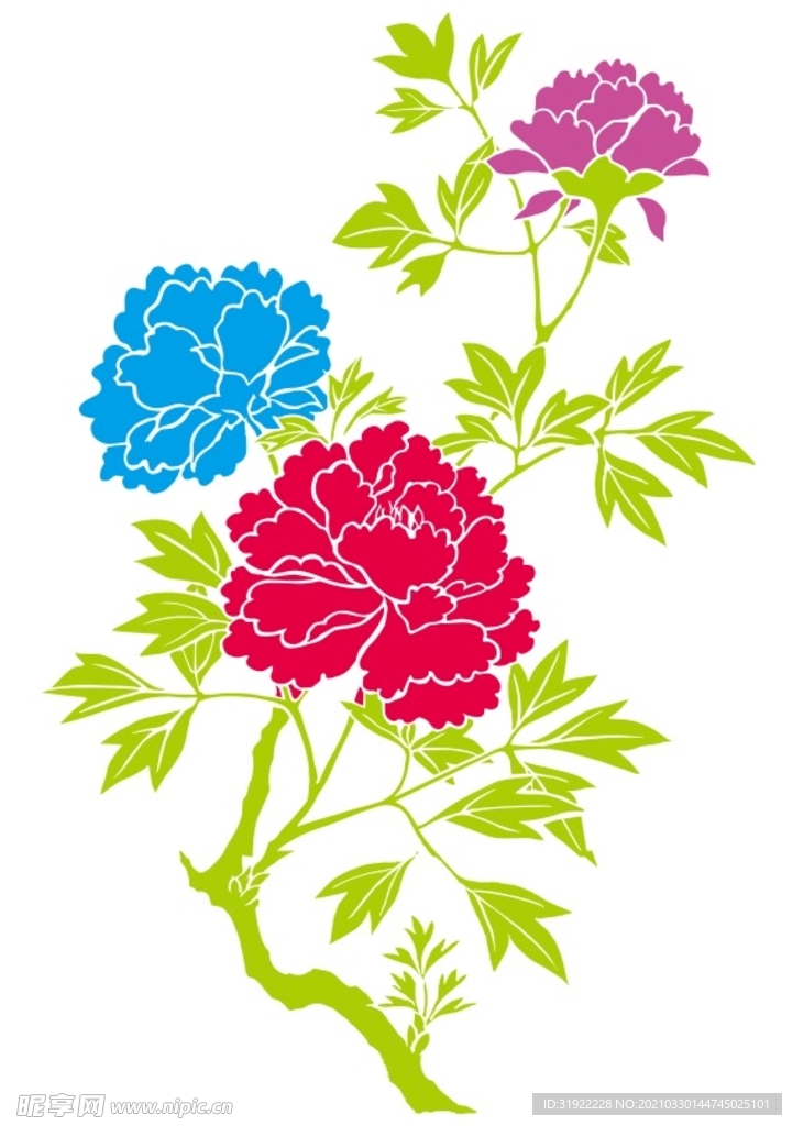 牡丹花