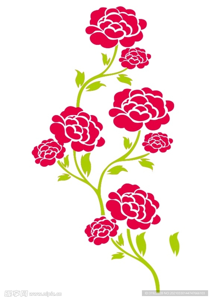 牡丹花