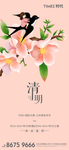 地产清明