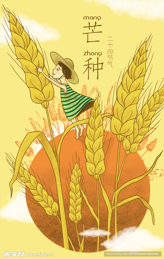 芒种插画