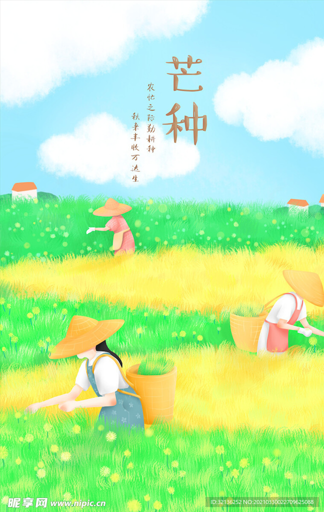 芒种插画