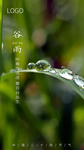 谷雨