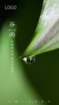 谷雨