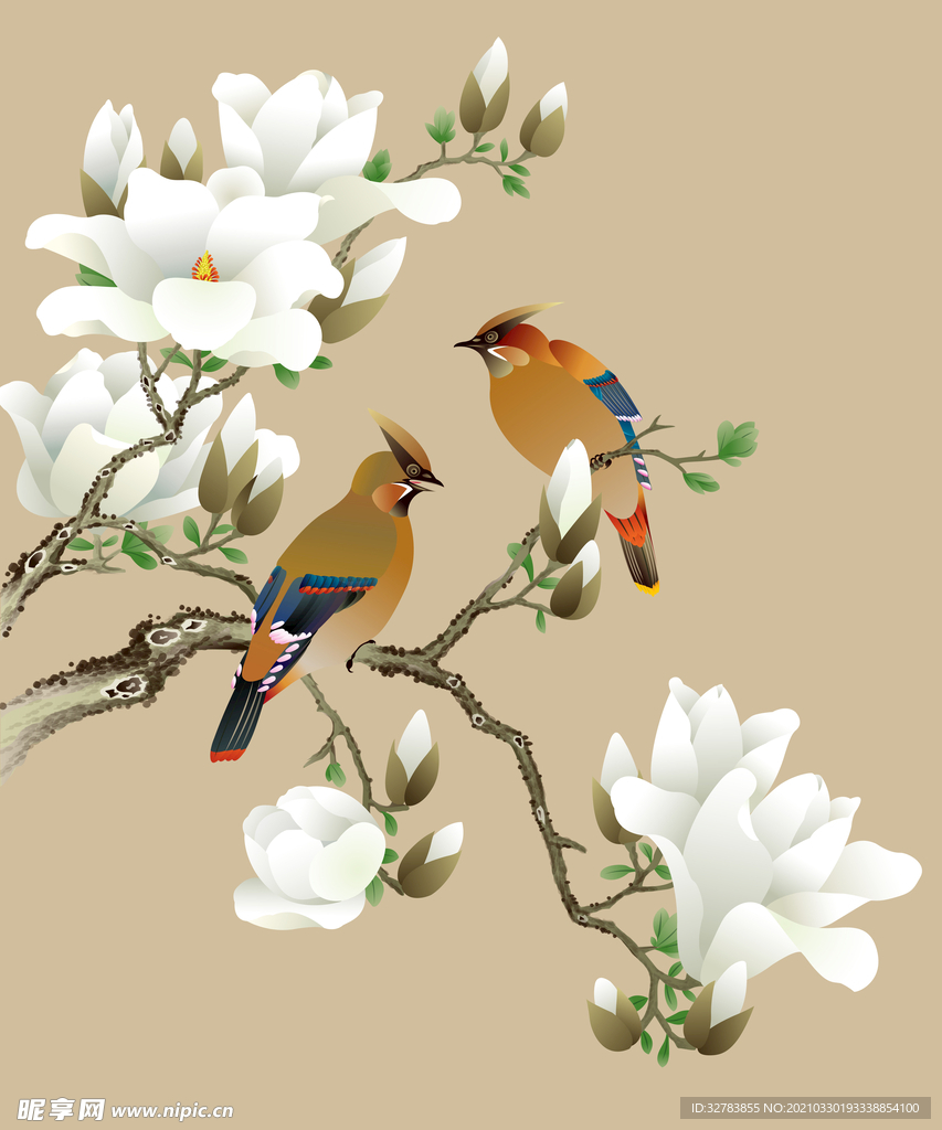 鸟