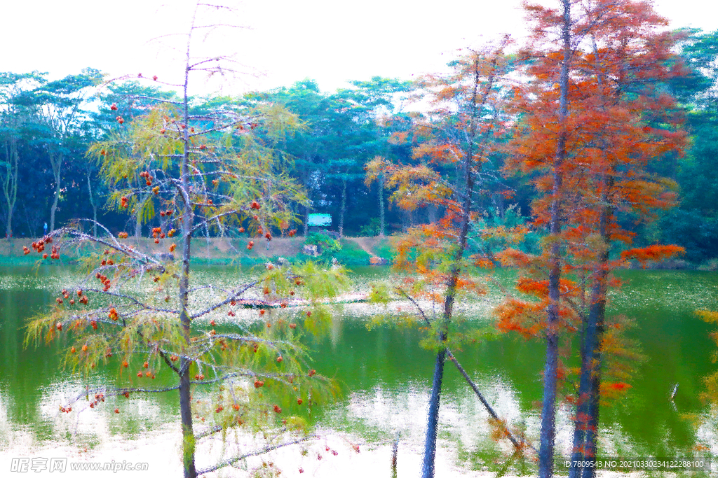 公园插画