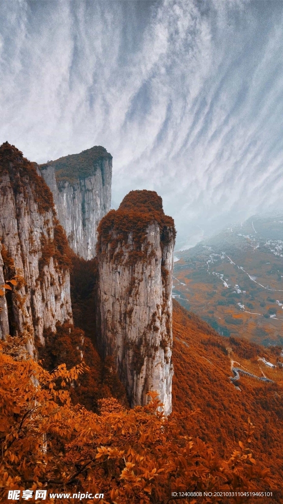 风景