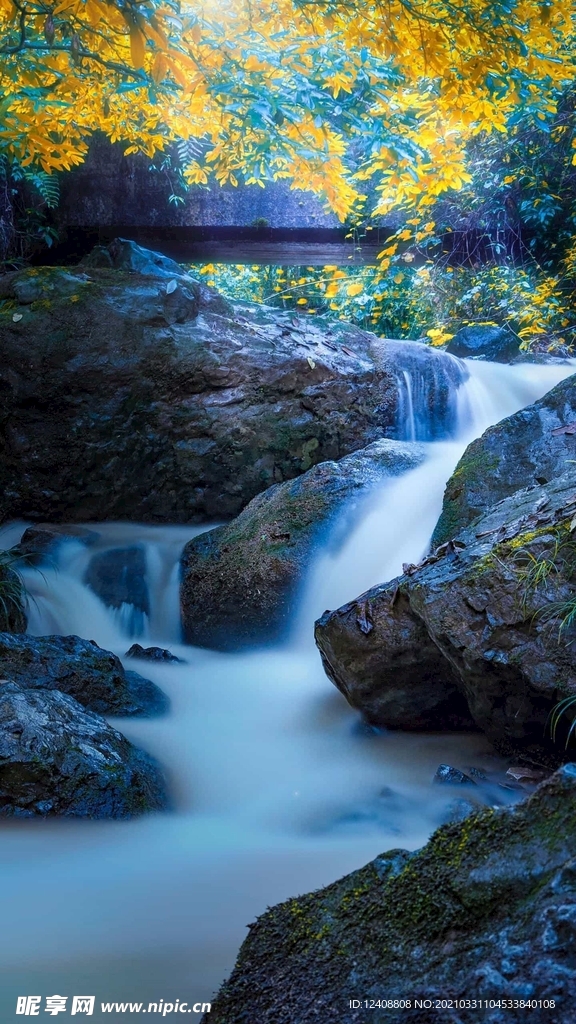 风景