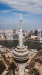 城市