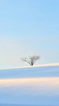 雪