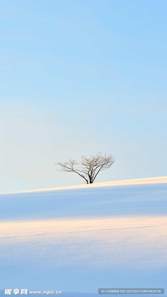 雪