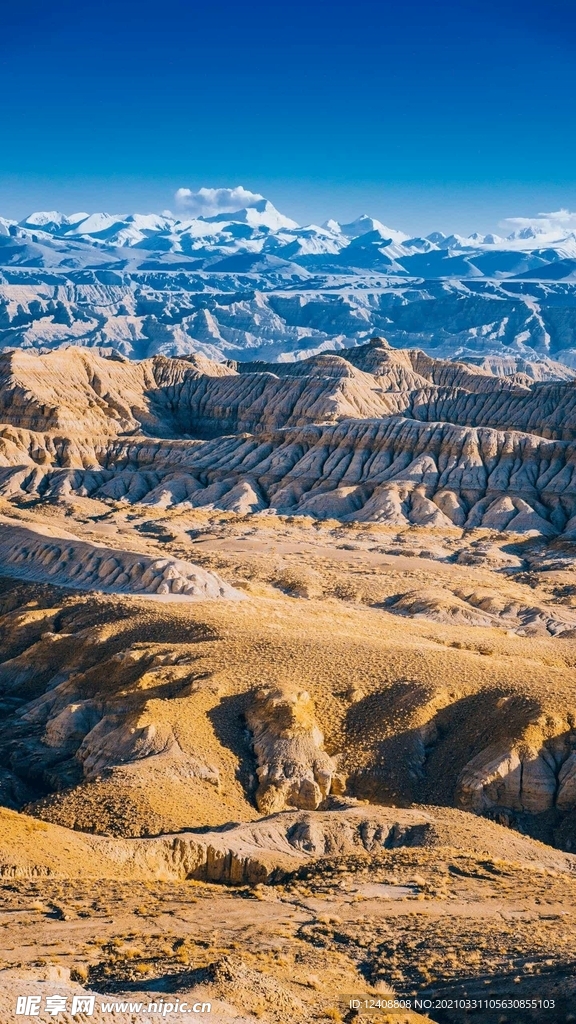 风景