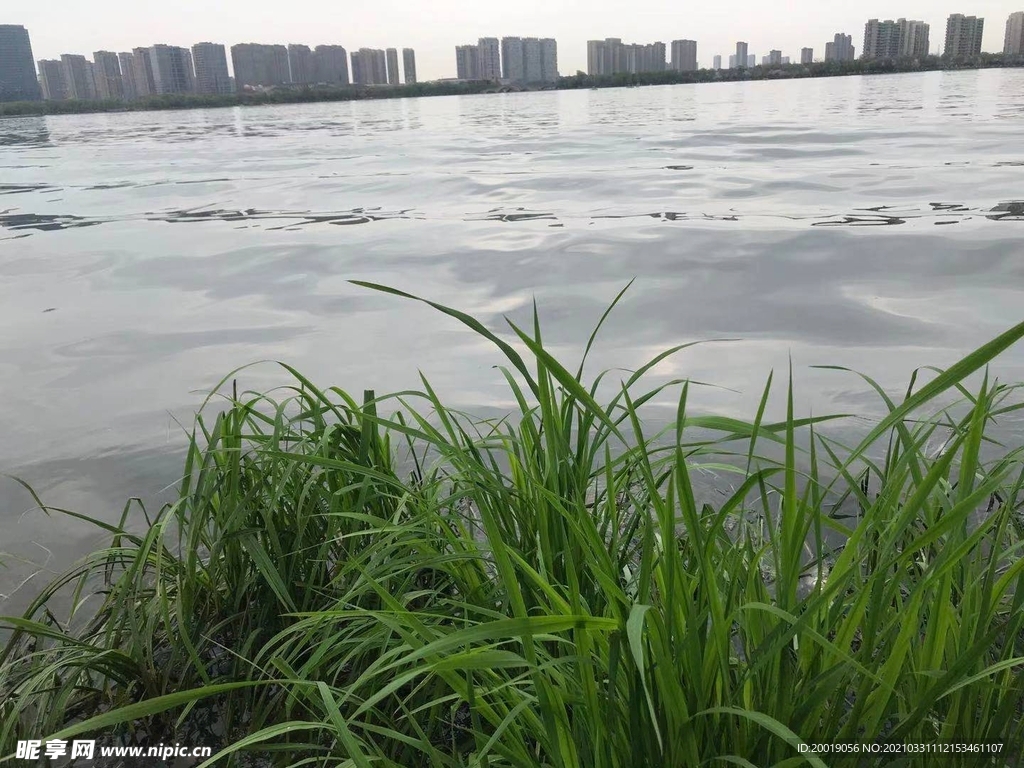 风景 湖 水 桥