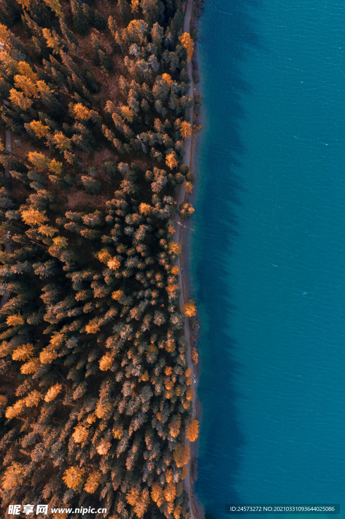 风景壁纸