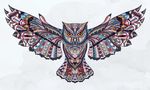 猫头鹰纹身插画
