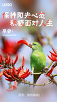 早安