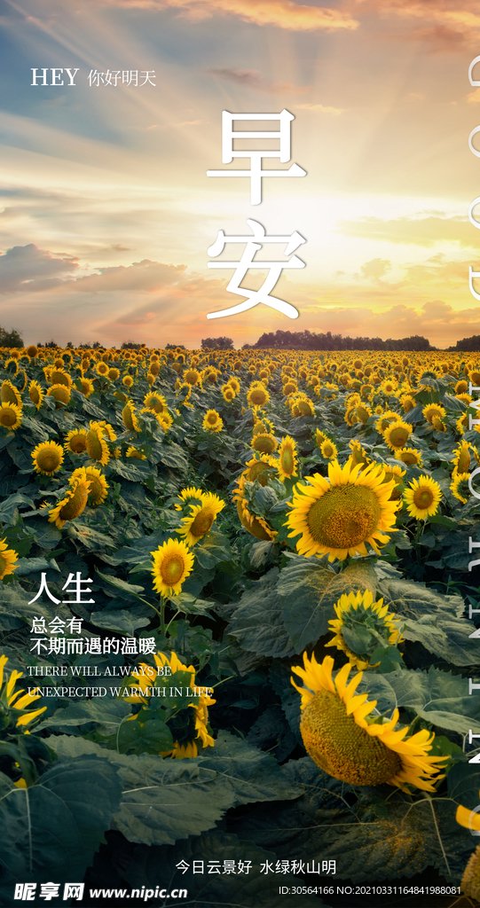 你好早安日常活动宣传海报素材