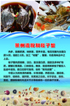 海鲜展板