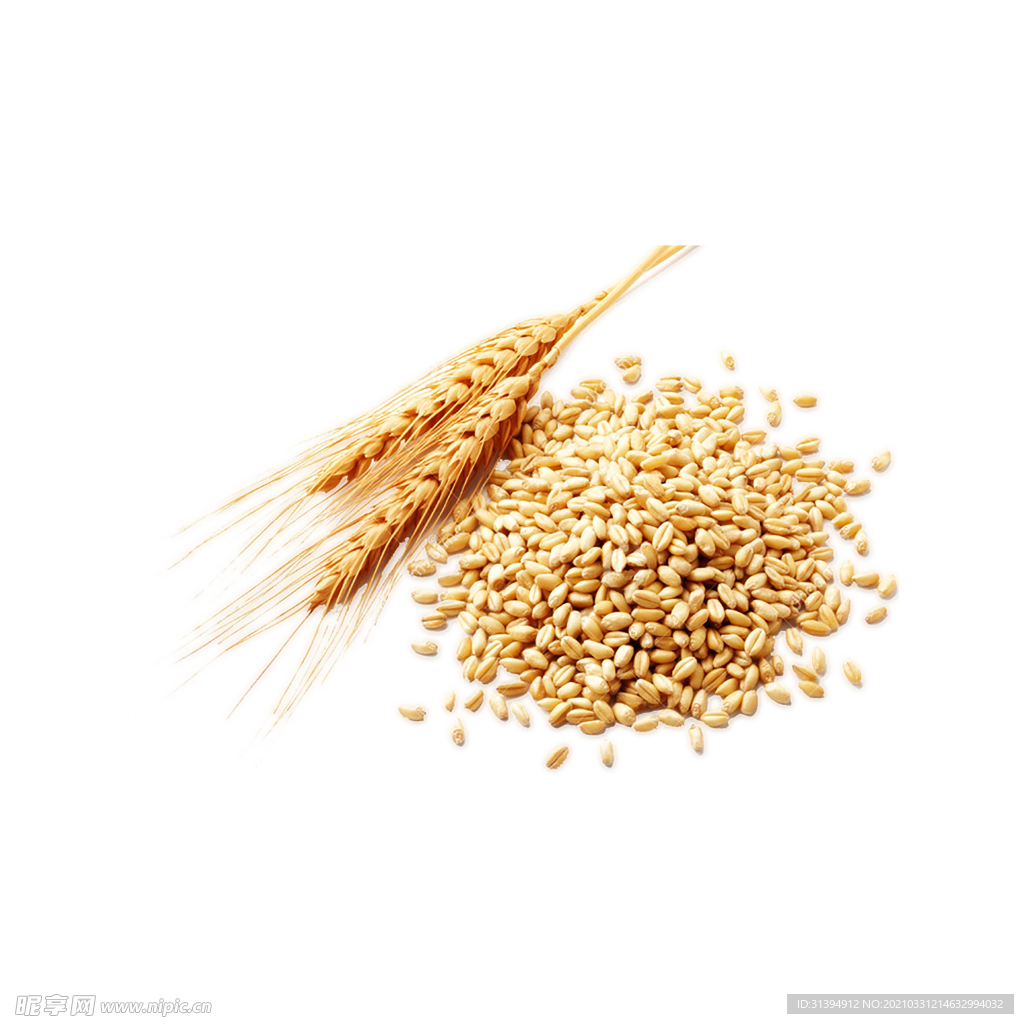 小麦