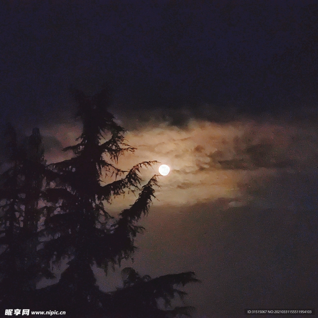 夜晚
