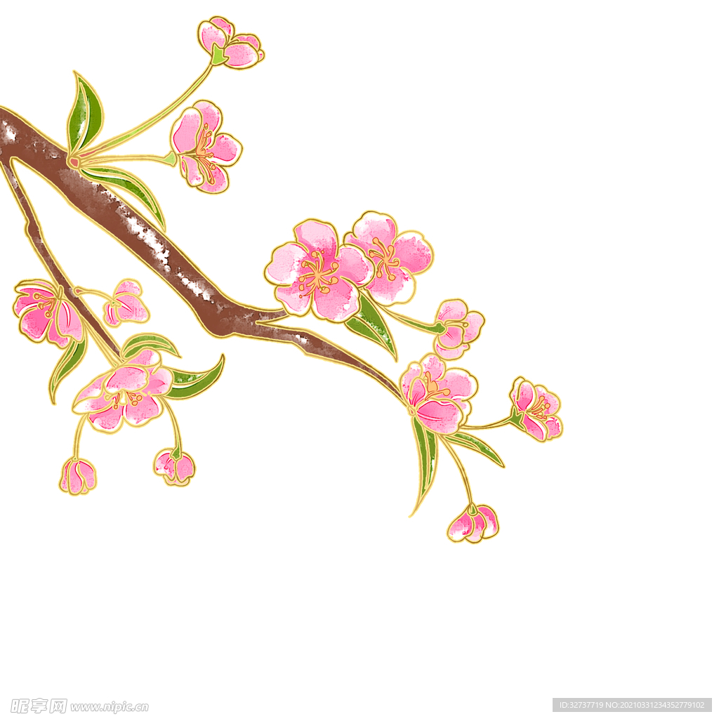 植物插画花朵元素