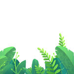 夏季植物绿色素材