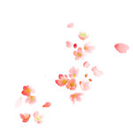 植物漂浮插画花朵元素