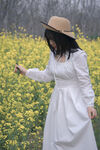 春日油菜花田