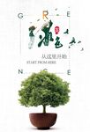 绿色植物