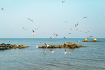 海上风景图片