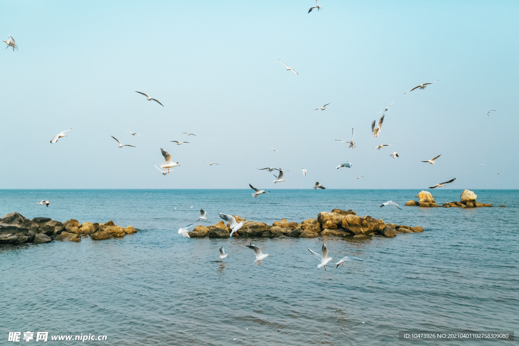 海上风景图片