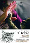 关爱小动物