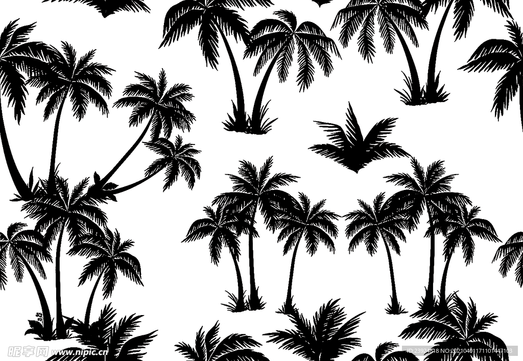 黑白椰子树