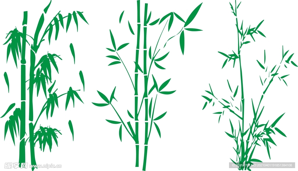 绿竹