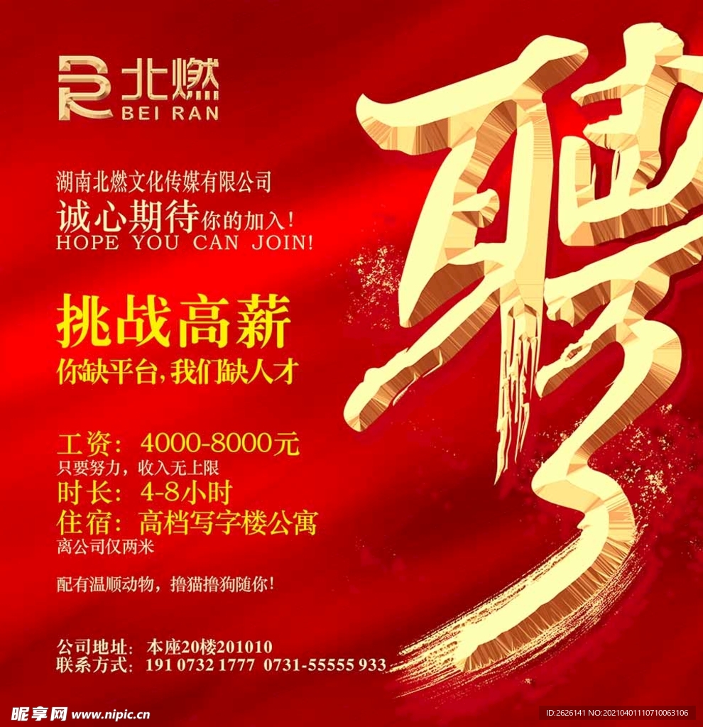 招聘设计