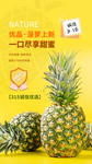 夏季菠萝水果活动宣传海报素材
