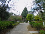 公园
