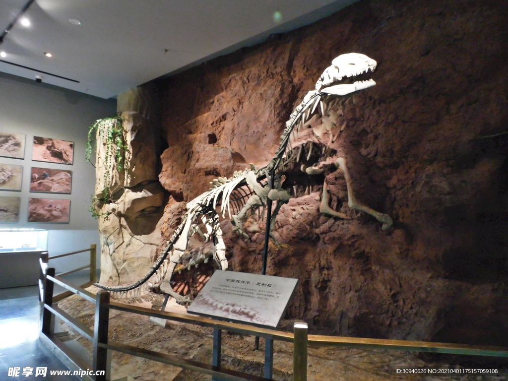 晋宁恐龙化石
