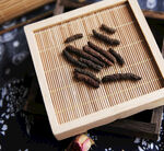 荜拨
