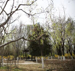 城市春天