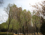 城市春天