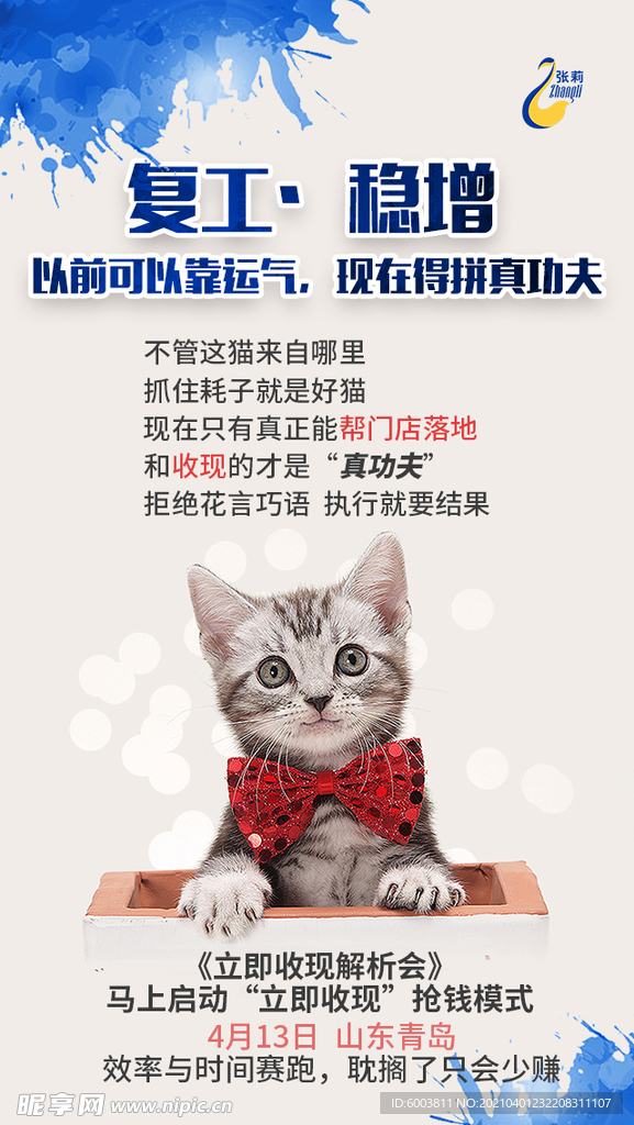 小猫海报