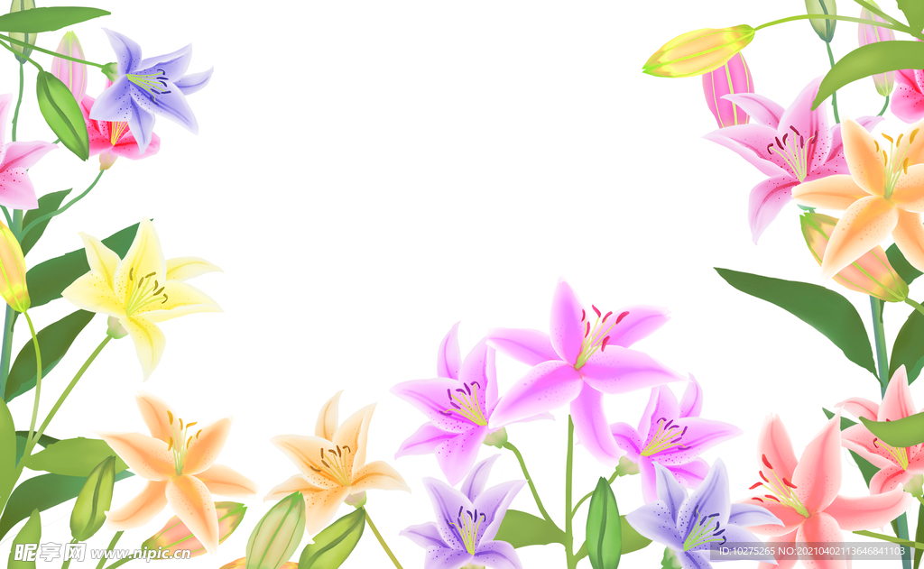 花卉插画背景素材图