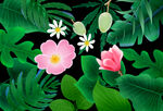 花卉插画背景素材图